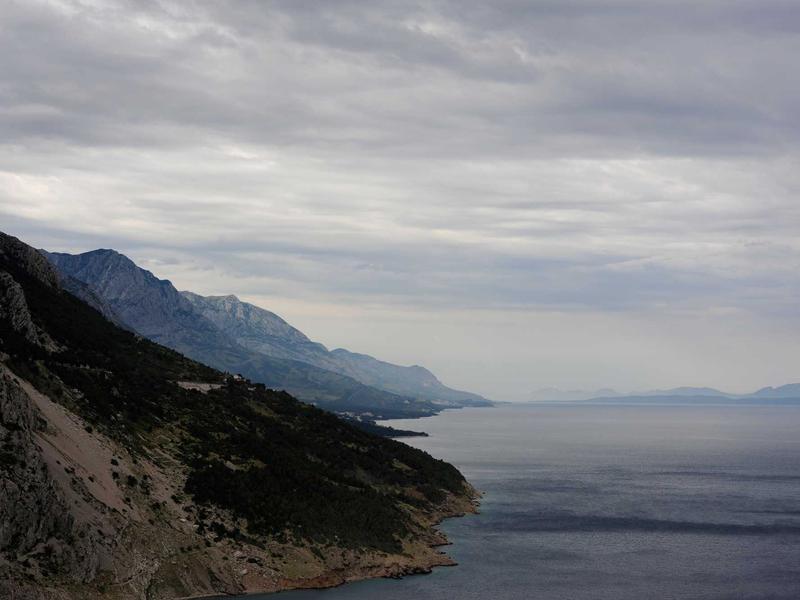 核爆后的彩虹<br>ljvwvuu.cn 变异生物图鉴